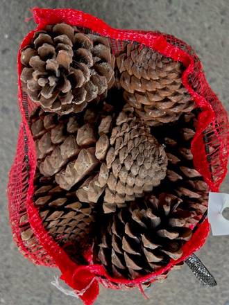 Bagged Pinecones image 0